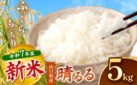 令和7年度産 新米 晴るる 白米 5kg 先行予約 ＜ 2025年12月～より順次発送予定 ＞ ｜ 米 精米 新米 白米 米 雑穀 お米 コメ 単一米 晴るる はるる  山口 美祢 秋吉台 5kg 2093261 - 山口県美祢市