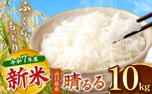 令和7年度産 新米 晴るる 白米 10kg 先行予約 ＜ 2025年11月～より順次発送予定 ＞｜ 米 精米 新米 白米 米 雑穀 お米 コメ 単一米 晴るる はるる  山口 美祢 秋吉台 10kg 2093258 - 山口県美祢市