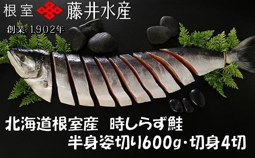 B-42112 【北海道根室産】時しらず鮭切身600g×1P・1切×4P 2162023 - 北海道根室市