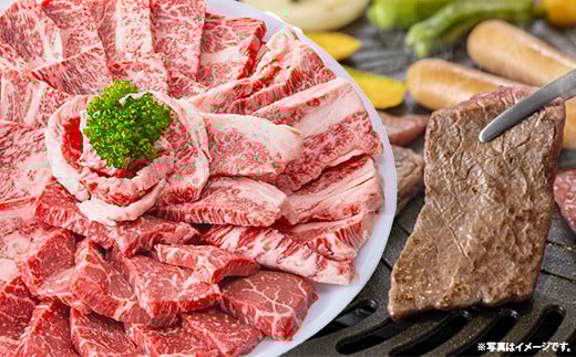 焼肉で赤身の美味しさと脂の美味しさ食べ比べ（肩、バラ）（400g）【黒毛和牛 しまね和牛 ウデ カルビ おすすめ 冷凍 ブランド牛 和牛 和牛オリンピック 肉質NO.1 牛肉 お肉 肉 セット 赤身 濃厚 食べ比べ 脂 焼肉 ギフト 贈り物 島根県 安来市】