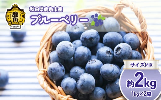  《先行予約》冷凍 ブルーベリー 約 2kg（1kg×2袋）サイズMIX ●2025年7月下旬発送開始【恋する鹿角カンパニー】旬 県産ブルーベリー 国産ブルーベリー お中元 お歳暮 お取り寄せ 母の日 父の日 グルメ ギフト 故郷 秋田 あきた 鹿角市 鹿角 送料無料 2161093 - 秋田県鹿角市