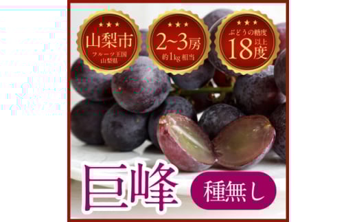 ＜2025年発送＞山梨県山梨市牧丘 人気の種無し巨峰 2～3房(約1kg)【1635884】