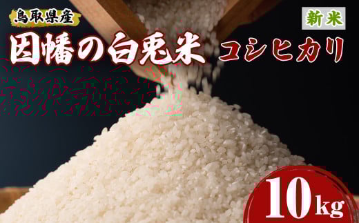 [2025年9月下旬〜2026年8月下旬発送予定][数量限定][因幡の白兎米]令和7年産新米コシヒカリ10kg(5kg×2袋)[sm-DD069][Workplays]