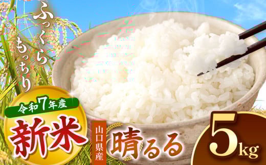 令和7年度産 新米 晴るる 白米 5kg 先行予約 ＜ 2025年10月～より順次発送予定 ＞ ｜ 米 精米 新米 白米 米 雑穀 お米 コメ 単一米 晴るる はるる  山口 美祢 秋吉台 5kg 2093263 - 山口県美祢市