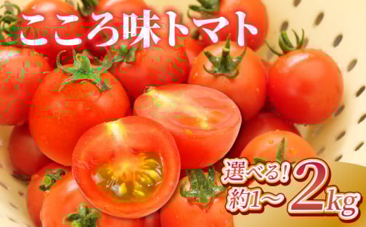 野菜 プチトマト こころ味トマト 選べる 容量 1kg 2kg ミニ ミニトマト 新鮮 摘みたて 就労支援 こころみファーム 産地直送 静岡県 沼津市