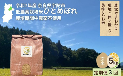 ＜令和7年産・先行予約＞＜毎月定期便3回＞ ひとめぼれ 玄米 5kg 9月末より順次発送 ／ ふるさと納税 低農薬 米 お米 こめ コメ 国産 新米 玄米  農家やまおか 奈良県 宇陀市