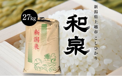 【先行予約　10月中旬より順次出荷】令和7年産　上越産こしひかり『和泉』27kg 上越市 精米 米 ギフト 喜ばれる