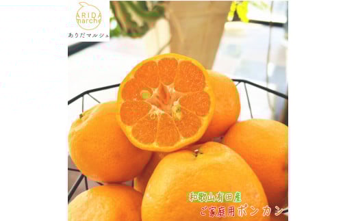 有田育ちの 完熟 ポンカン（ご家庭用）約2kg［先行予約］［MS118］