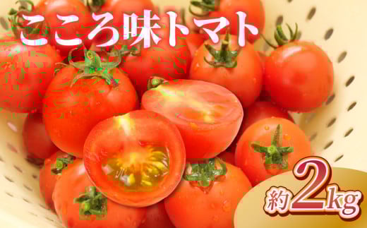 野菜 プチトマト 2kg こころ味トマト ミニ ミニトマト 新鮮 摘みたて 就労支援 こころみファーム　こころ味トマト 産地直送 静岡県 沼津市 1318072 - 静岡県沼津市