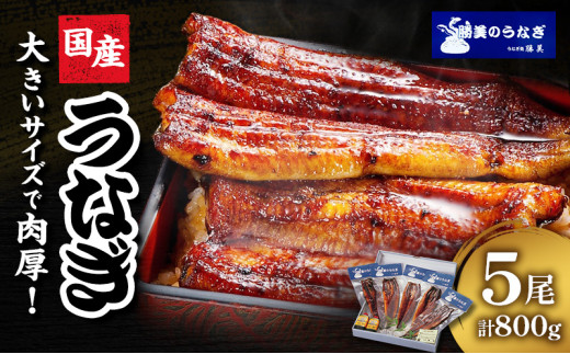 うなぎ 国産 蒲焼5尾セット(160g×5尾 タレ75ml×2・山椒付) 勝美 ギフト プレゼント お歳暮 誕生日 内祝 土用の丑の日 丑の日 鰻 小分け 簡単調理 パック  [№5786-4333]