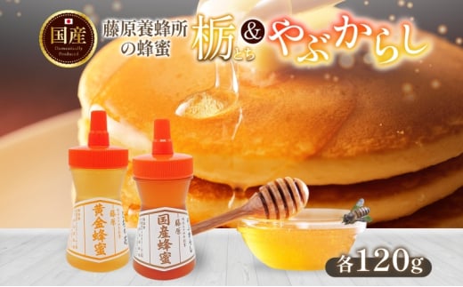 藤原黄金蜂蜜 栃 国産蜂蜜 やぶからし 各120g 計240g はちみつ とち ヤブカラシ 国産 単花蜜 朝しぼり 完熟 ハチミツ パン 菓子 トースト ホットケーキ ヨーグルト 調味料 隠し味 お取り寄せ ポリ容器 常温 常備 送料無料 藤原養蜂場 岩手県 盛岡市