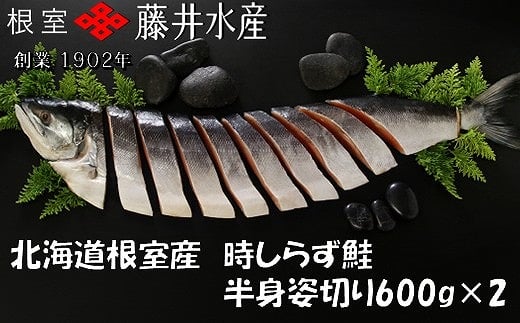 C-42100 【北海道根室産】時しらず鮭切身600g×2P 2162024 - 北海道根室市