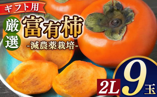富有柿ギフト(紙箱)2Lサイズ 9個 |フルーツ 果物 くだもの 柿 かき カキ 奈良県 五條市 773095 - 奈良県五條市