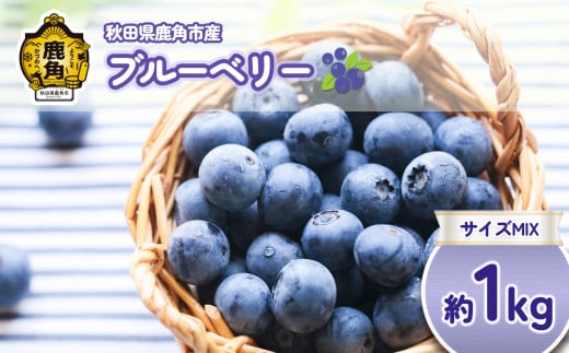  《先行予約》冷凍 ブルーベリー 約 1kg サイズMIX ●2025年7月下旬発送開始【恋する鹿角カンパニー】旬 県産ブルーベリー 国産ブルーベリー お中元 お歳暮 お取り寄せ 母の日 父の日 グルメ ギフト 故郷 秋田 あきた 鹿角市 鹿角 送料無料 2161094 - 秋田県鹿角市