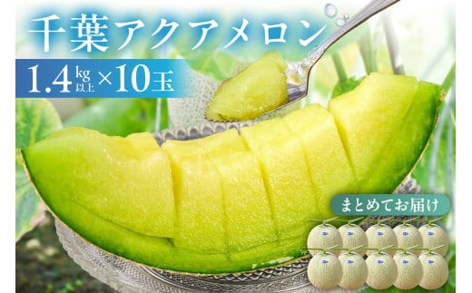 千葉アクアメロン(マスクメロン)10玉【まとめてお届け】 mi0018-0008 204927 - 千葉県南房総市