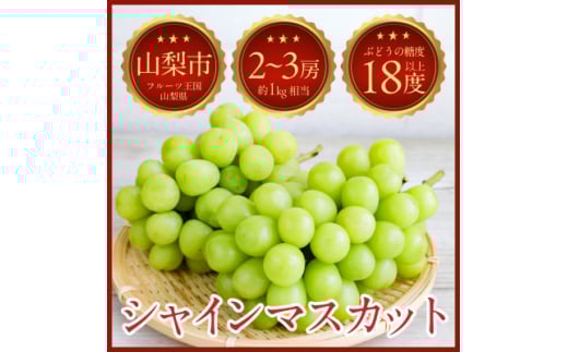 ＜2025年発送＞山梨県山梨市牧丘 人気のシャインマスカット 2～3房(約1kg)【1635880】