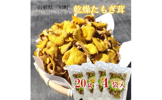 グリーンファーム小野寺の乾燥たもぎ茸　20g×4袋 2152102 - 山形県三川町