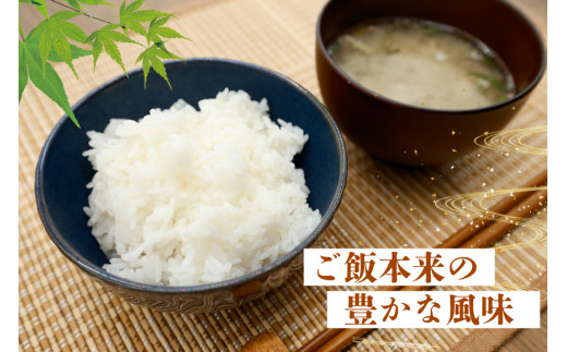 アイテムID:423058の画像3枚目