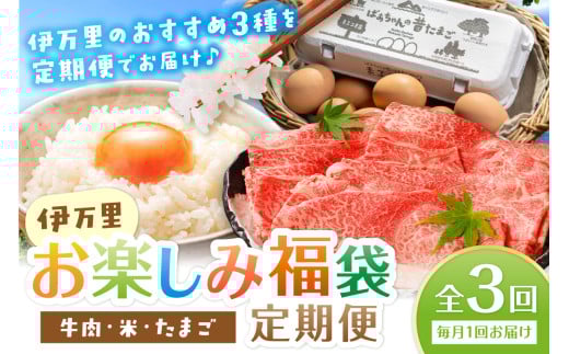 伊万里 お楽しみ福袋 定期便 全3回 牛肉 米 たまご【毎月発送コース】 E029 2166762 - 佐賀県伊万里市