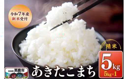 【新米受付】令和7年産あきたこまち（精米）5kg（5kg×1袋）スズキファーム