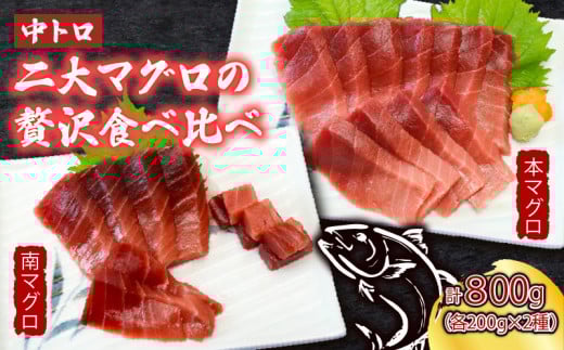 厳選天然本まぐろ中トロ２柵　と　厳選天然南まぐろ２柵 食べ比べ 合計800ｇ まぐろ マグロ 鮪 本マグロ 本まぐろ 天然 父の日