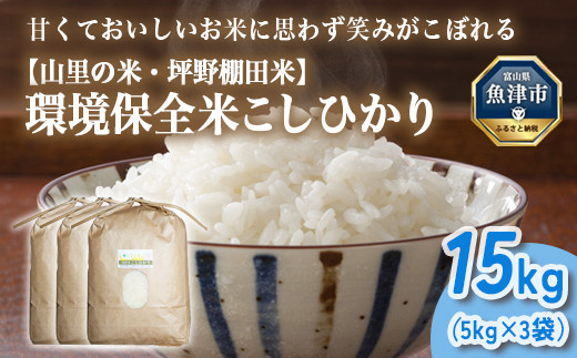 山の湧き水 寒暖差 山里 山里の米･坪野米 R7年産 環境保全米こしひかり 15kg　※北海道・沖縄・離島への配送不可　※2025年9月下旬～2025年10月中旬頃に順次発送予定