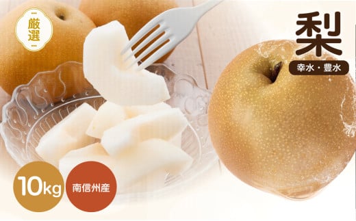 南信州産 梨 約10kg 幸水 豊水 いずれか1品種 おまかせ | 梨 なし ナシ 幸水 豊水 果物 くだもの フルーツ 長野県 信州 南信州 飯田 959224 - 長野県飯田市