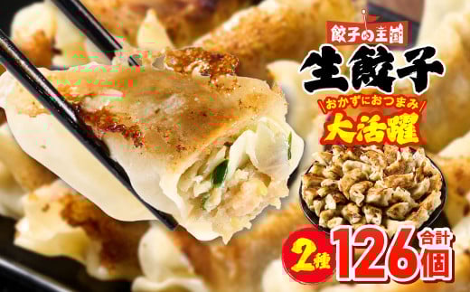 餃子の王国 人気生餃子 126個 2種類 黒豚生餃子30個/工場直売生餃子96個 餃子 セット 食べ比べ 詰合せ ギョウザ ぎょうざ 中華 ショウガ おかず 惣菜 国産 八代市東陽町の生姜を使用 熊本県 九州 冷凍【順次発送】