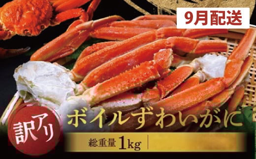 【数量限定】【2025年9月発送予定】訳あり ボイル ずわいがに 総重量 1kg (内容量 900g)規格外 不揃い 傷 足 訳アリ わけあり 脚折れ 2L～3L 大サイズ 弥七商店 かに弥 ずわい蟹 ズワイガニ かに カニ 蟹 カニ足 脚 ずわい 鍋 数量限定
