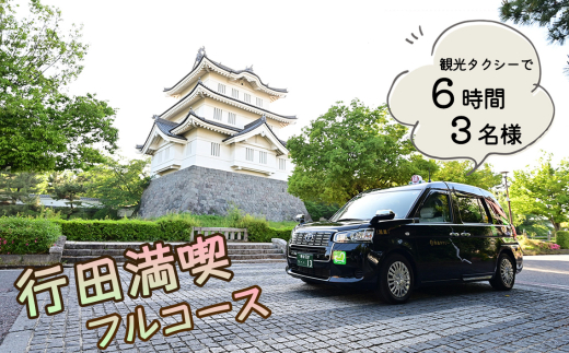 No.493 観光タクシーで行く！6時間行田満喫フルコース（3名様） ／ 行田観光 旅 旅行 トラベル 専用ガイド 観光ガイド ご当地 グルメ ショッピング 特別ツアー 安全 効率がいい スムーズ リラックス 入場料込み 埼玉県