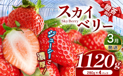 スカイベリー（贈答向け）【3月発送】280ｇ×4p | 贈答品 プレゼント 新鮮 完熟 いちご 旬 スカイベリー 苺 ストロベリー 高級 産地直送 大容量 人気 高評価 真岡市 栃木県 送料無料 1463996 - 栃木県真岡市