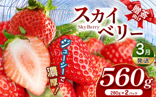スカイベリー（贈答向け）【3月発送】280ｇ×2p | 贈答品 プレゼント 新鮮 完熟 いちご 旬 スカイベリー 苺 ストロベリー 高級 産地直送 大容量 人気 高評価 真岡市 栃木県 送料無料 1463992 - 栃木県真岡市