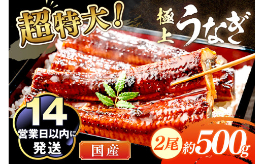 超特大！極上！国産うなぎ蒲焼 2尾 合計500g前後　YK00401