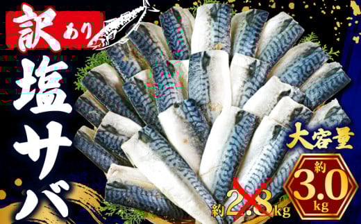 訳あり 塩さば フィレ 約3kg 期間限定 増量 中 数量限定 鯖 さば 塩サバ 塩鯖 訳アリ 訳有 規格外 不揃い 切身 切り身 フィーレ 塩焼き 鯖サンド 鯖バーガー 大容量 小分け 人気 冷凍 冷凍食品 魚 魚介 魚貝 魚介類 おかず つまみ 酒 お酒 さけ 弁当 惣菜 食品 冷凍食品 グルメ 贈答 贈物 贈り物 長期保存 ギフト ふるさと納税 ふるさと納税鯖 送料無料 千葉県 銚子市 辻野 2166188 - 千葉県銚子市