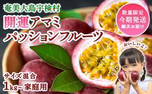 開運 パッションフルーツ  家庭用 ( バラ詰め サイズ混合 1.5kg) 【2025年6月中旬～順次発送】鹿児島県産 国産 奄美大島 宇検村 果物 フルーツ リリコイ 果物時計草 南国 品種 産地直送 農家直送 デザート 家庭用 お取り寄せ 特産品 旬 新物 奄美大島開運酒造 夏 人気