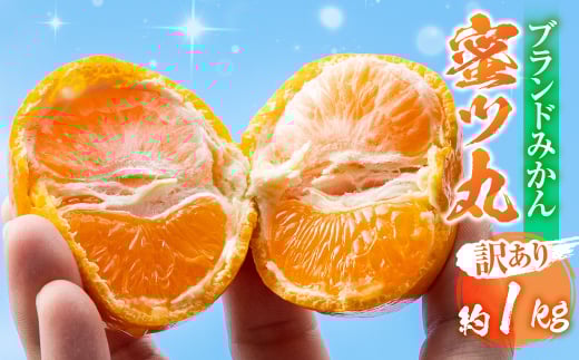 ≪先行予約≫こだわり蜜柑 蜜ツ丸 家庭用 バラ詰め 約1kg+痛み補償250g マルカワ園芸 みかん こだわりみかん おみかん屋 ミカン mikan 蜜柑  2164191 - 愛知県豊橋市