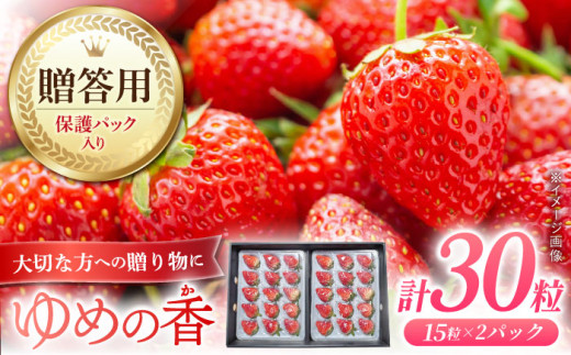 【贈答用/お歳暮対応】いちご ゆめの香 30粒（15粒×2パック）化粧箱入 長崎県/わたる農園 [42AABB003] イチゴ 苺 フルーツ 贈答 プレゼント ギフト