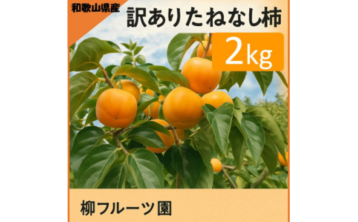柳フルーツ園の訳ありたねなし柿 約2kg＜2025年秋冬配送＞【1430462】 1300254 - 和歌山県橋本市