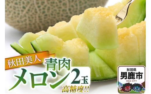 R7年度産 先行受付 メロン2玉（秋田美人） 秋田県 男鹿市 2164186 - 秋田県男鹿市