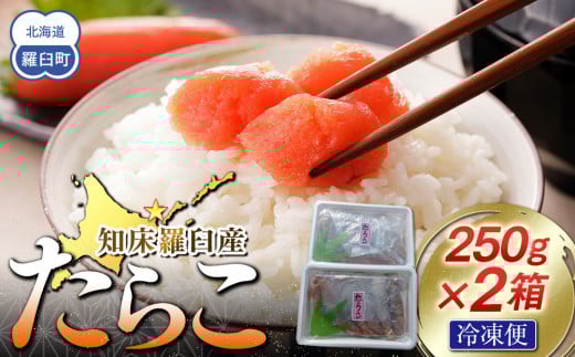 【数量限定】お徳用知床羅臼産たらこ 約250g×2箱 2164946 - 北海道羅臼町