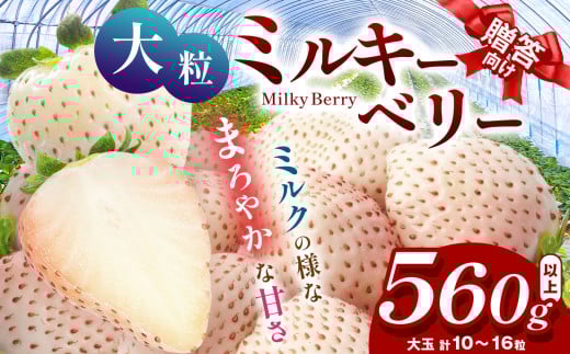 【12月発送】希少な白いちご ミルキーベリー いちご ギフト｜280g×2p 12月 贈答品 プレゼント 新鮮 完熟 いちご 旬 スカイベリー 苺 ストロベリー 高級 産地直送 大容量 人気 高評価 真岡市 栃木県 送料無料