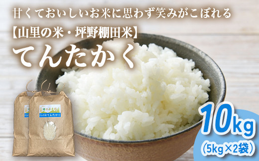 山の湧き水 寒暖差 山里 山里の米･坪野米 R7年産 てんたかく 10kg（5kg×2）｜ 新米 こめ コメ お米 おこめ 白米 精米 お弁当 おにぎり 香り うまみ あまみ 富山 魚津　※北海道・沖縄・離島への配送不可　※2025年9月下旬～2025年10月中旬頃に順次発送予定