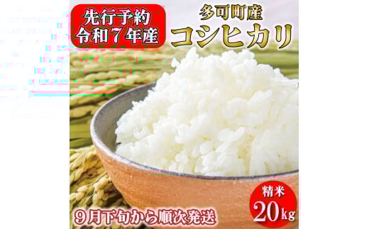 新米予約 令和７年産 お米 20kg 5kg×4 コシヒカリ 精米 兵庫県多可町産 [1221] 2164310 - 兵庫県多可町