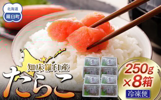 【数量限定】お徳用知床羅臼産たらこ 約250g×8箱 2164949 - 北海道羅臼町