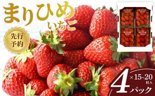 先行予約 まりひめいちご 15～20粒入×4パック 食べやすいひと口サイズ こだわり 農家厳選 ［KG32］ 2164068 - 和歌山県印南町