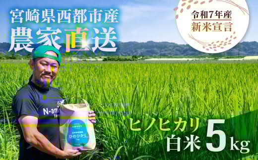 【令和7年産新米・先行予約】ヒノヒカリ 5kg ※10月中旬以降順次発送予定 精米済み 新米 ヒノヒカリ お米 精米 5キロ 米 ライス こめ おこめ 5kg＜1.3-23＞ 2164260 - 宮崎県西都市