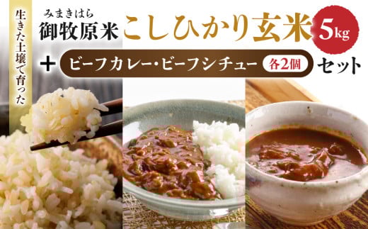 【里山JAPAN】長野県産！生きた土壌で育った『御牧原米こしひかり 玄米5㎏』と小田切牧場ビーフカレー、ビーフシチューセット｜2025年10月上旬以降に発送予定