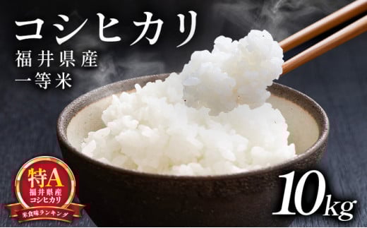 米 福井県産 コシヒカリ 一等米 10kg 【米 福井県産 コシヒカリ 5kg 10kg 一等米 ブランド米 白米 精米 玄米 無洗米 ご飯 ごはん 米 コメ こめ お米 小分け 家庭用 ふるさと納税米 こしひかり】[101-a201]