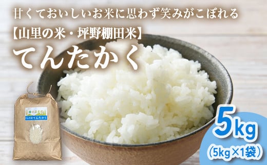 山の湧き水 寒暖差 山里 山里の米･坪野米 R7年産 てんたかく 5kg ｜新米 こめ コメ お米 おこめ 白米 精米 お弁当 おにぎり 香り うまみ あまみ 富山 魚津　※北海道・沖縄・離島への配送不可　※2025年9月下旬～2025年10月中旬頃に順次発送予定