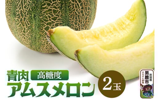 R7年度産 先行受付 メロン2玉（アムス） 秋田県 男鹿市 2164187 - 秋田県男鹿市